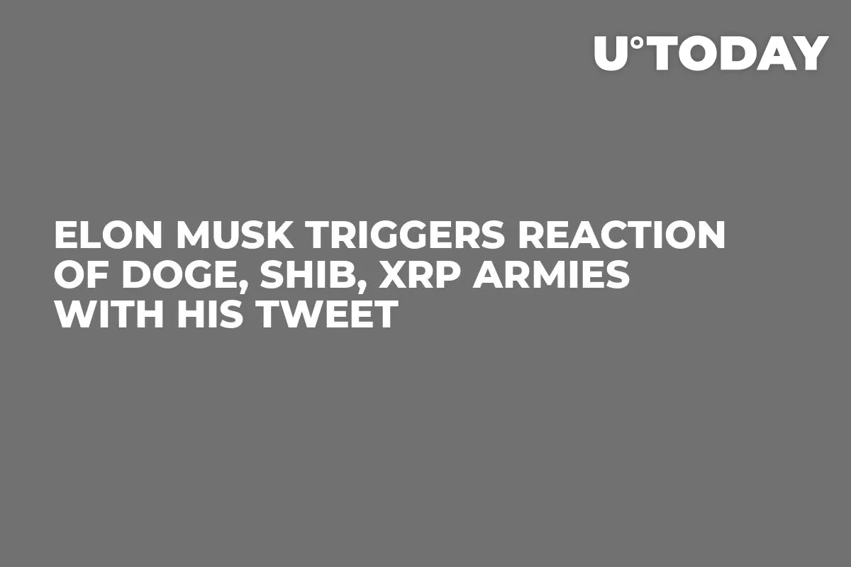 Elon Musk Triggers Reaction of DOGE, SHIB, XRP Armies With His Tweet
