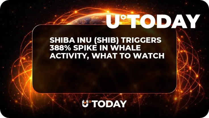 Shiba Inu (SHIB) Triggers 388% Spike in Whale Activity, What to Watch