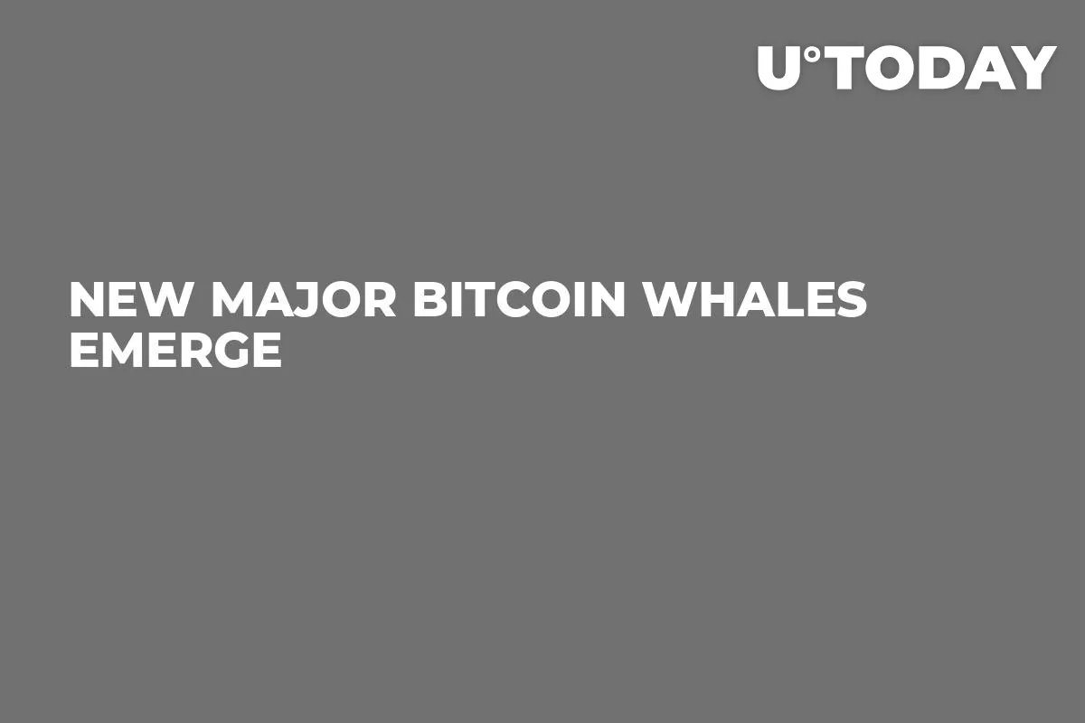 New Major Bitcoin Whales Emerge
