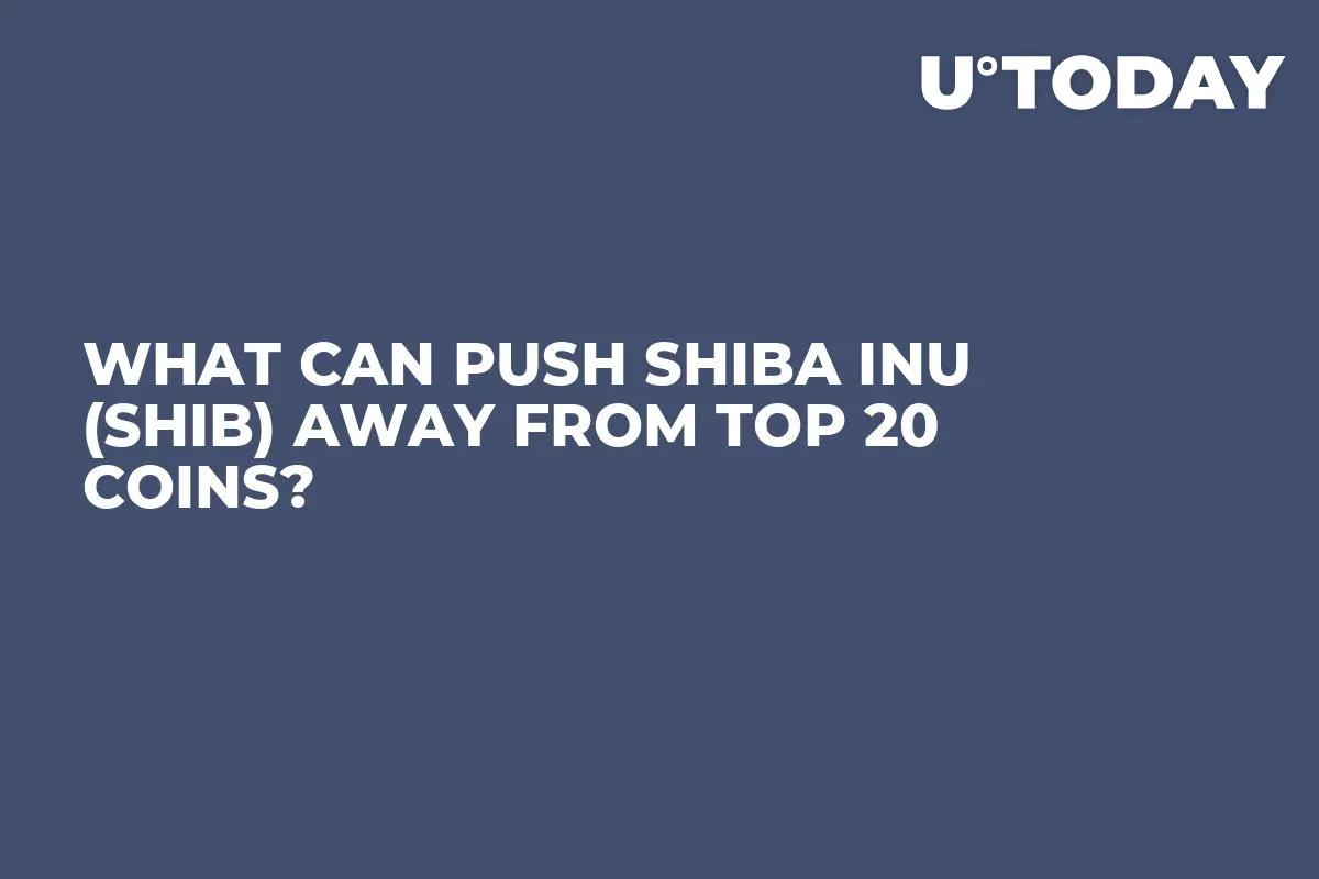 What Can Push Shiba Inu (SHIB) Away From Top 20 Coins?