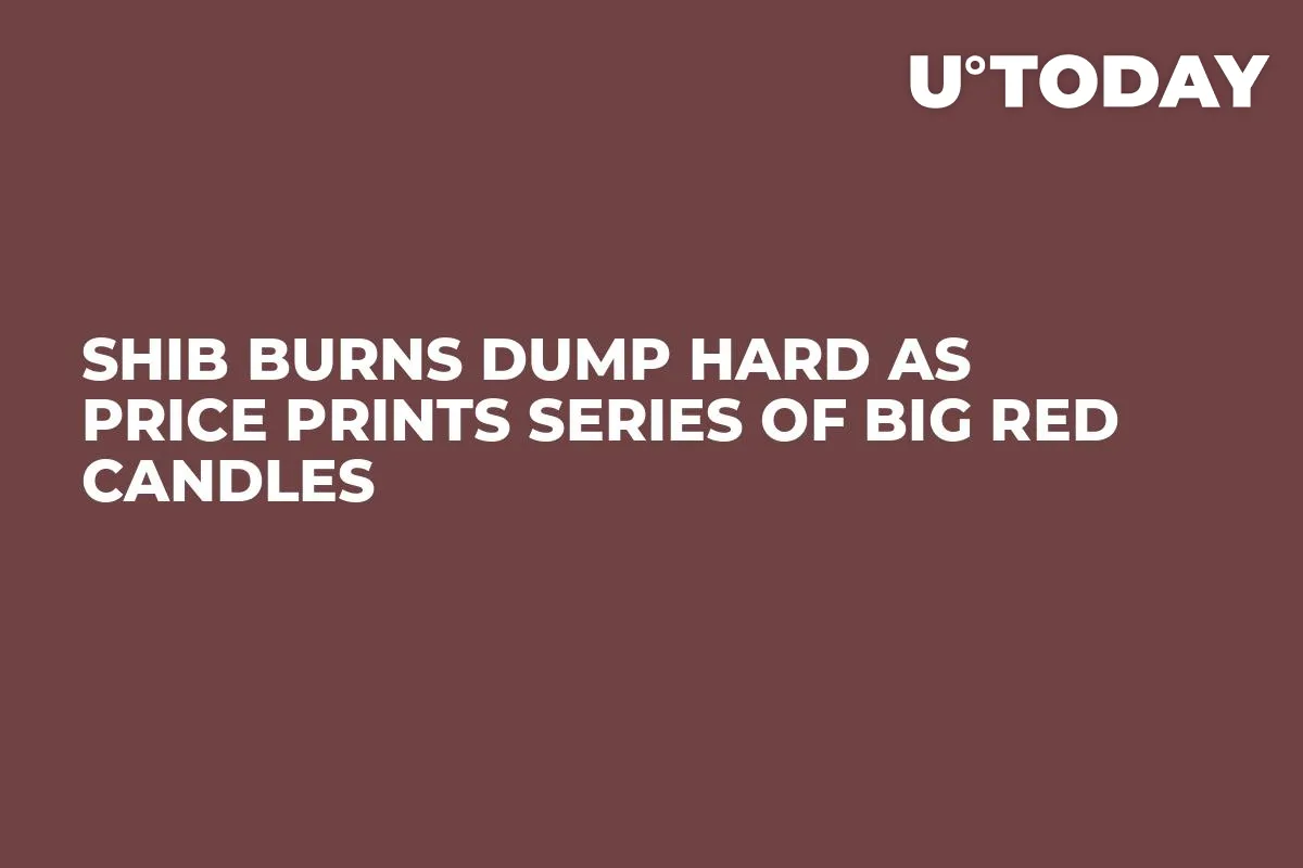 SHIB Burns Dump Hard as Price Prints Series of Big Red Candles