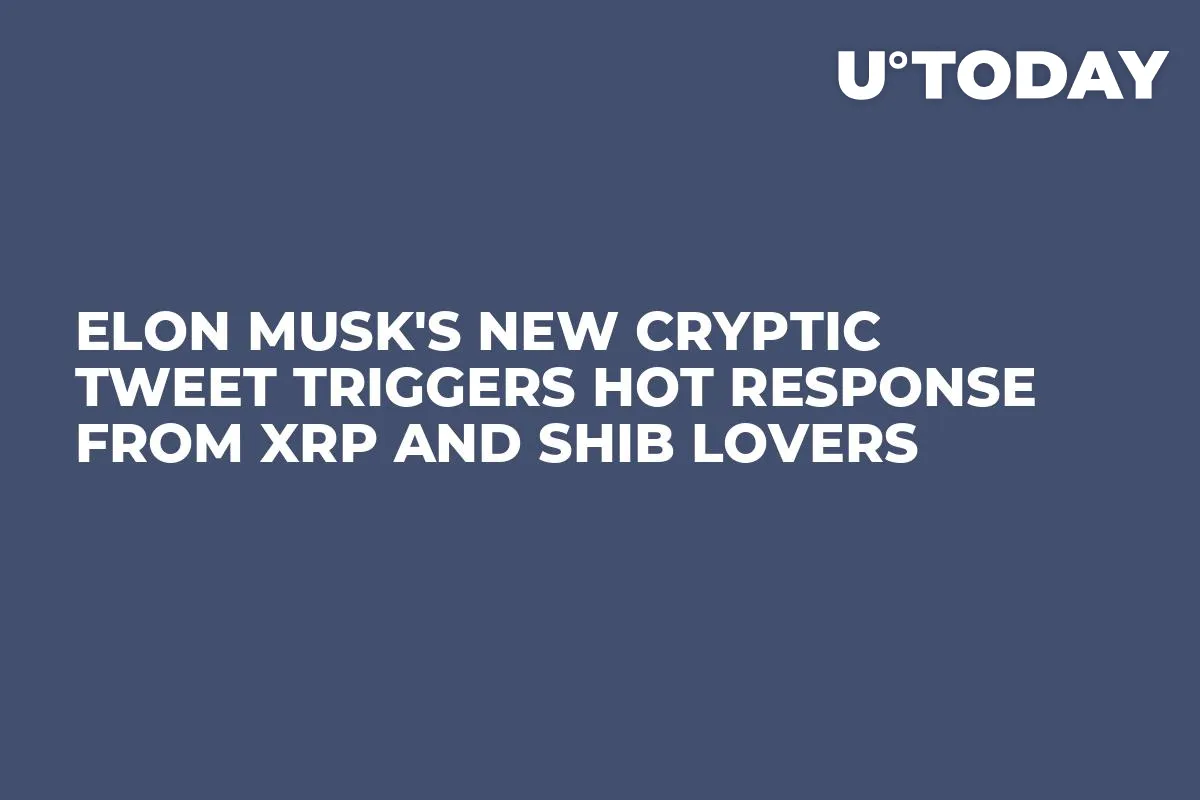 Elon Musk's New Cryptic Tweet Triggers Hot Response From XRP and SHIB Lovers