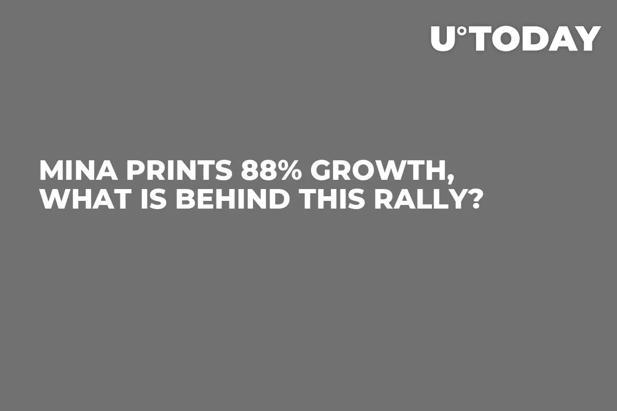 MINA Prints 88% Growth, What Is Behind This Rally?