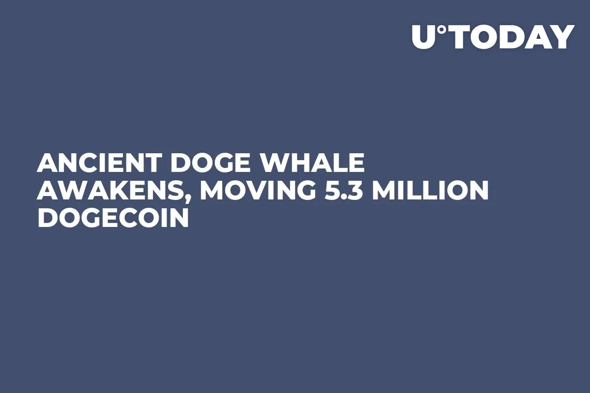 Ancient DOGE Whale Awakens, Moving 5.3 Million Dogecoin 
