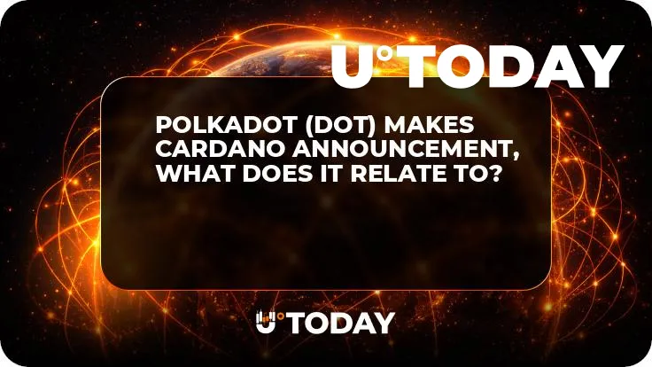 Polkadot (DOT) Makes Cardano Announcement, What Does It Relate To?