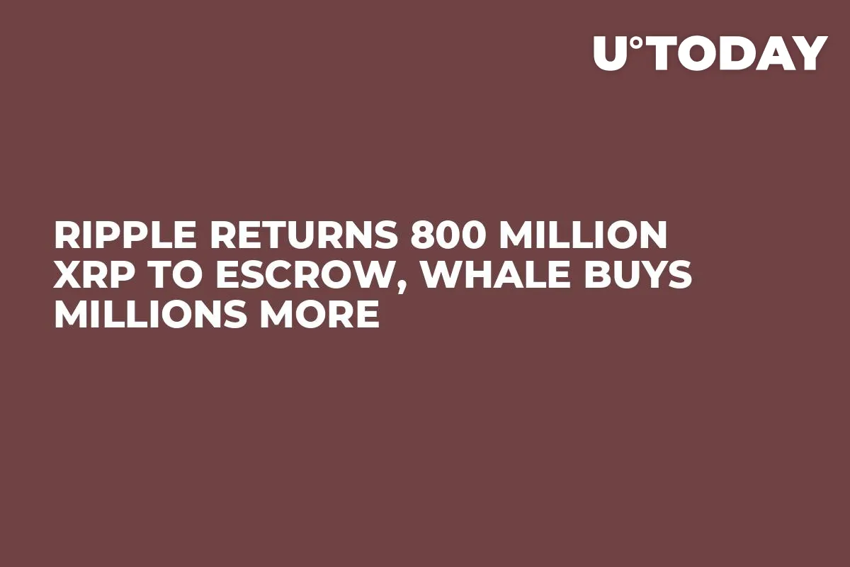 Ripple Returns 800 Million XRP to Escrow, Whale Buys Millions More