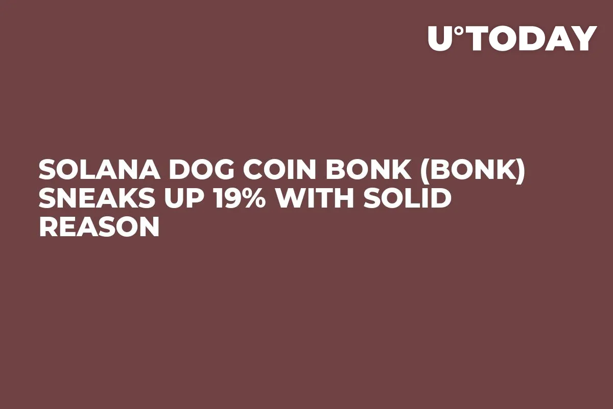 Solana Dog Coin Bonk (BONK) Sneaks up 19% With Solid Reason