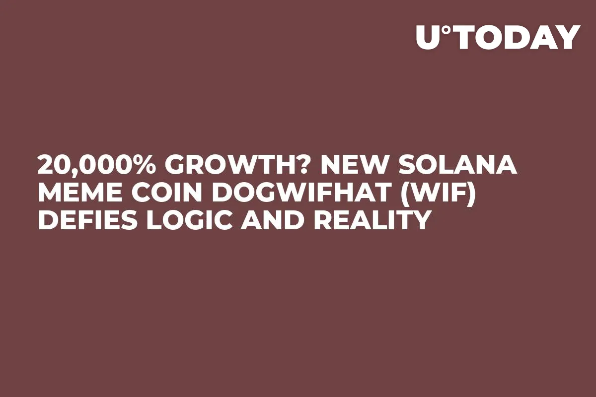 20,000% Growth? New Solana Meme Coin Dogwifhat (WIF) Defies Logic and Reality