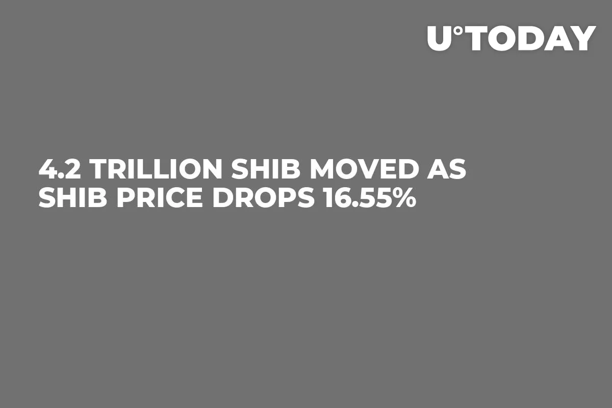 4.2 Trillion SHIB Moved as SHIB Price Drops 16.55%