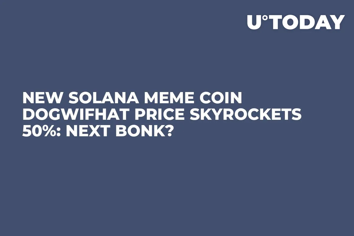 New Solana Meme Coin Dogwifhat Price Skyrockets 50%: Next BONK?
