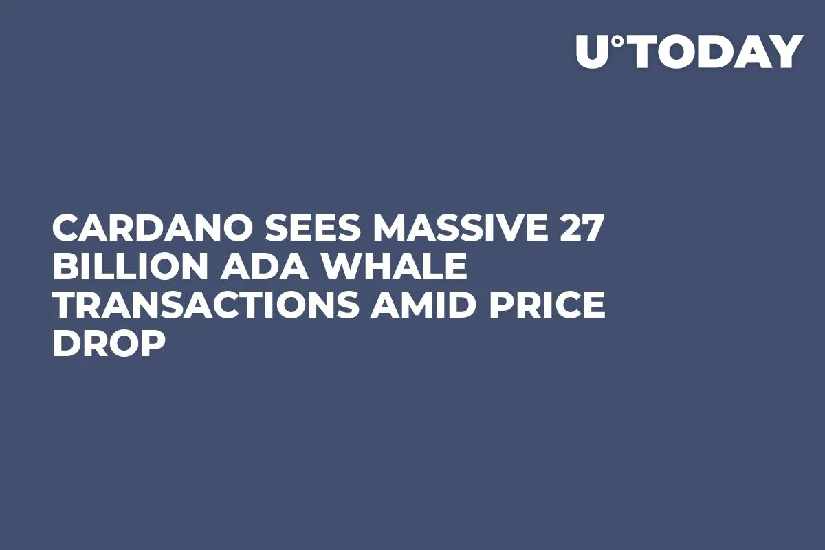 Cardano Sees Massive 27 Billion ADA Whale Transactions Amid Price Drop