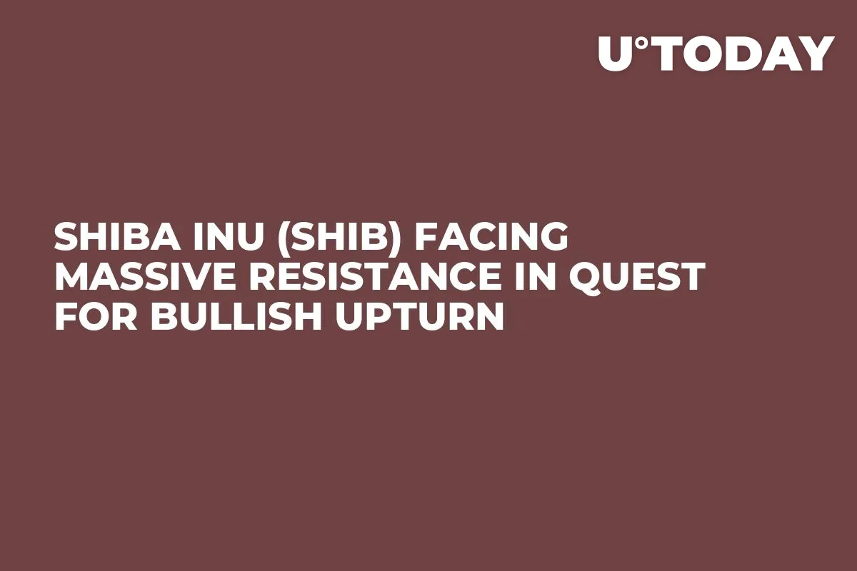 Shiba Inu (SHIB) Facing Massive Resistance in Quest for Bullish Upturn