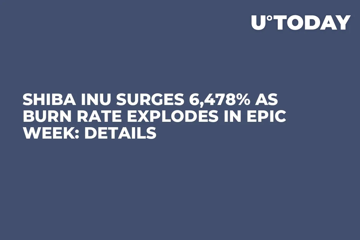 Shiba Inu Surges 6,478% as Burn Rate Explodes in Epic Week: Details