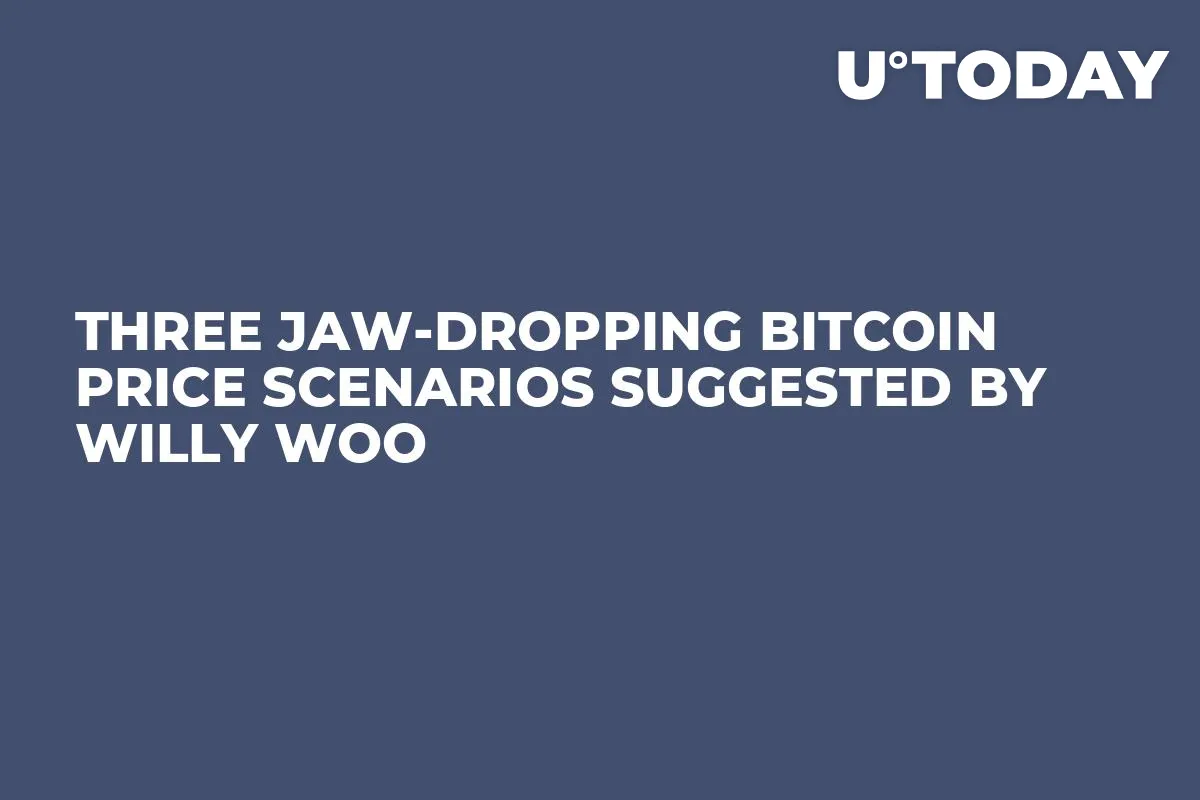 Three Jaw-Dropping Bitcoin Price Scenarios Suggested by Willy Woo