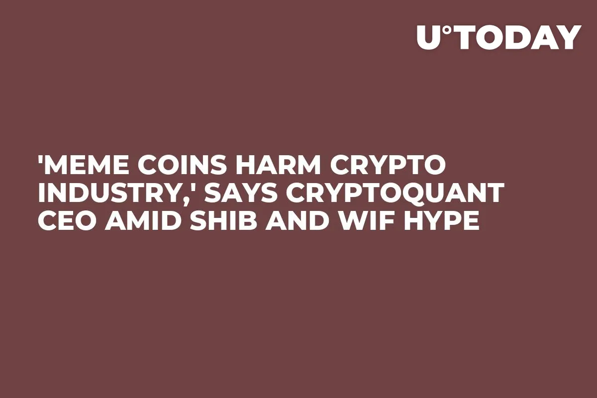 'Meme Coins Harm Crypto Industry,' Says CryptoQuant CEO Amid SHIB and WIF Hype