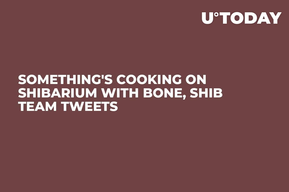 Something's Cooking on Shibarium With BONE, SHIB Team Tweets