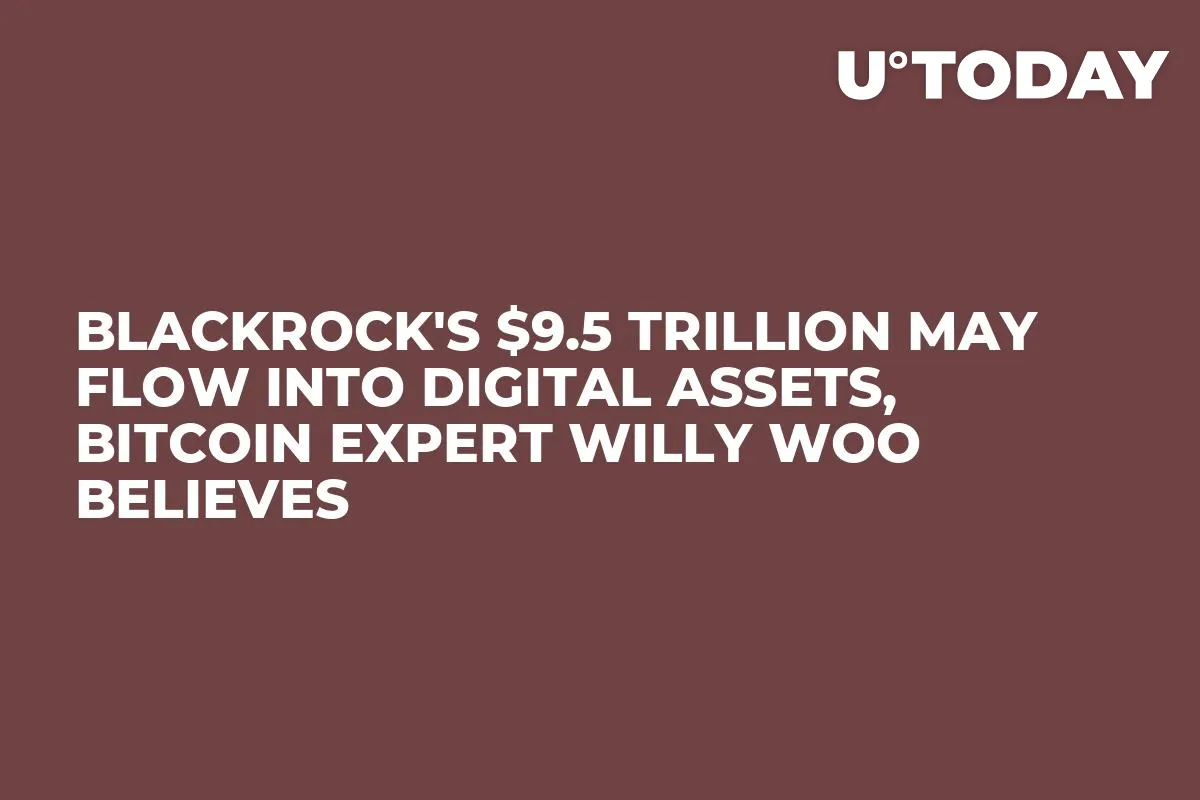 BlackRock's $9.5 Trillion May Flow Into Digital Assets, Bitcoin Expert Willy Woo Believes