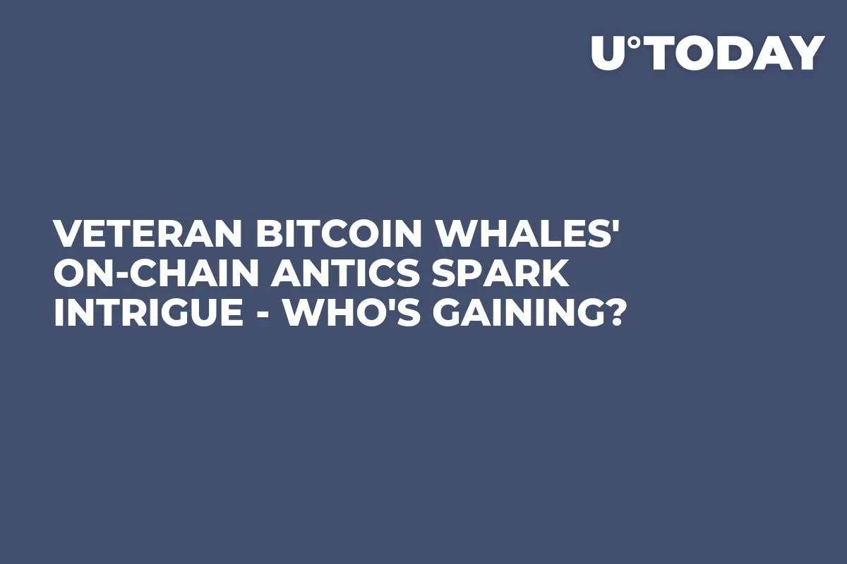 Veteran Bitcoin Whales' On-chain Antics Spark Intrigue - Who's Gaining?
