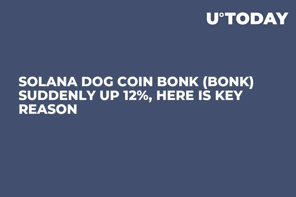 Solana Dog Coin Bonk (BONK) Suddenly up 12%, Here Is Key Reason