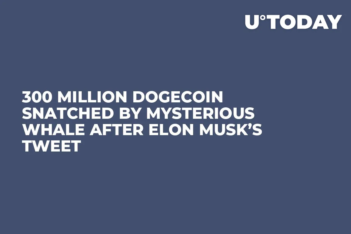 300 Million Dogecoin Snatched by Mysterious Whale After Elon Musk’s Tweet