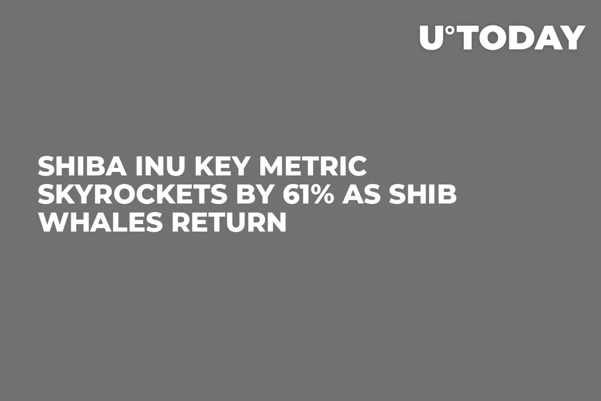Shiba Inu Key Metric Skyrockets by 61% as SHIB Whales Return
