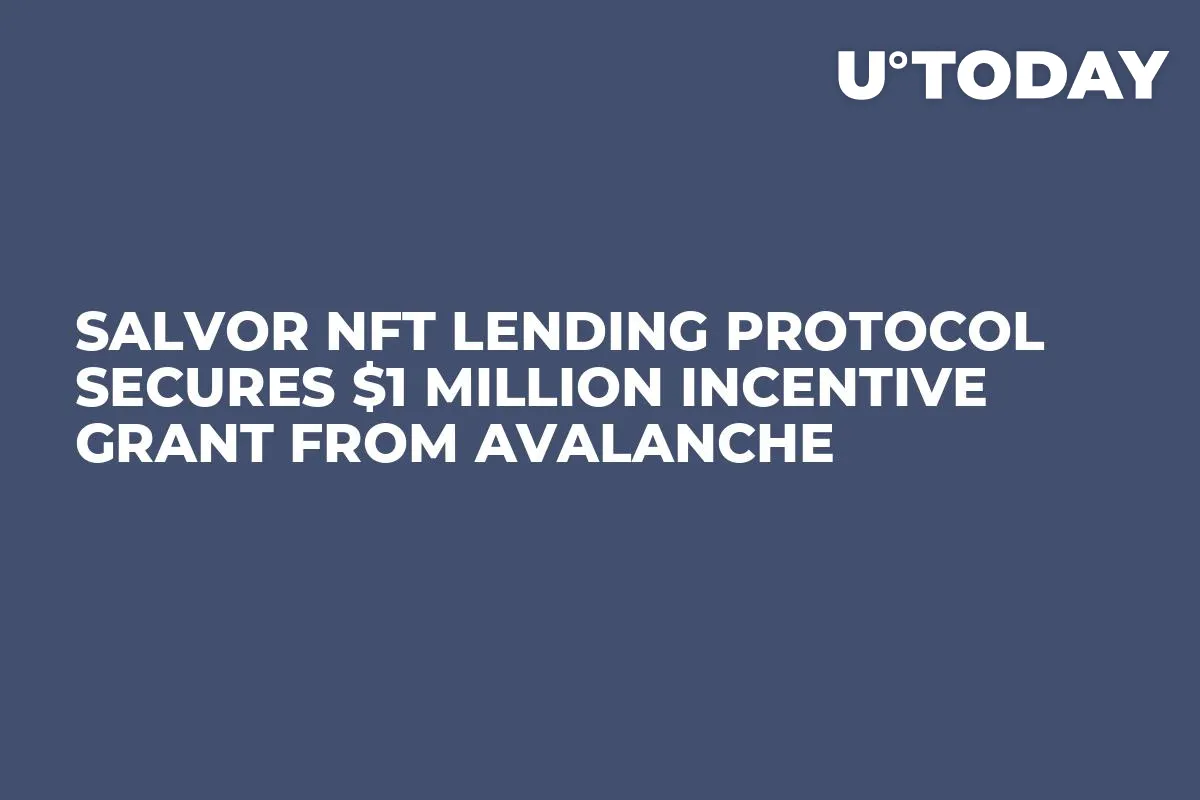 Salvor NFT Lending Protocol Secures $1 Million Incentive Grant From Avalanche