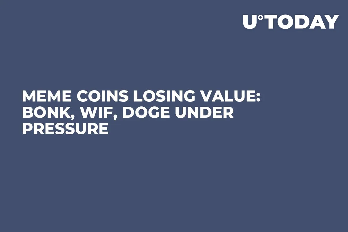 Meme Coins Losing Value: BONK, WIF, DOGE Under Pressure
