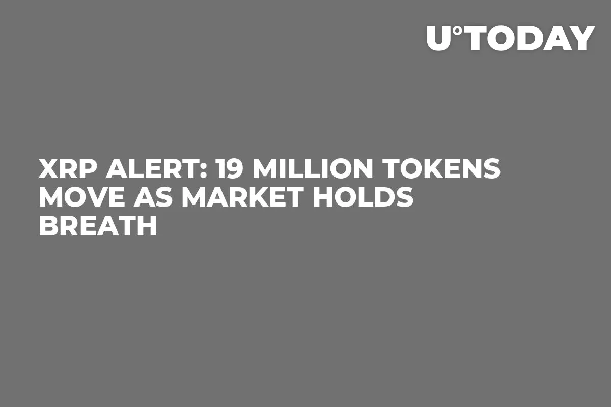 XRP Alert: 19 Million Tokens Move as Market Holds Breath