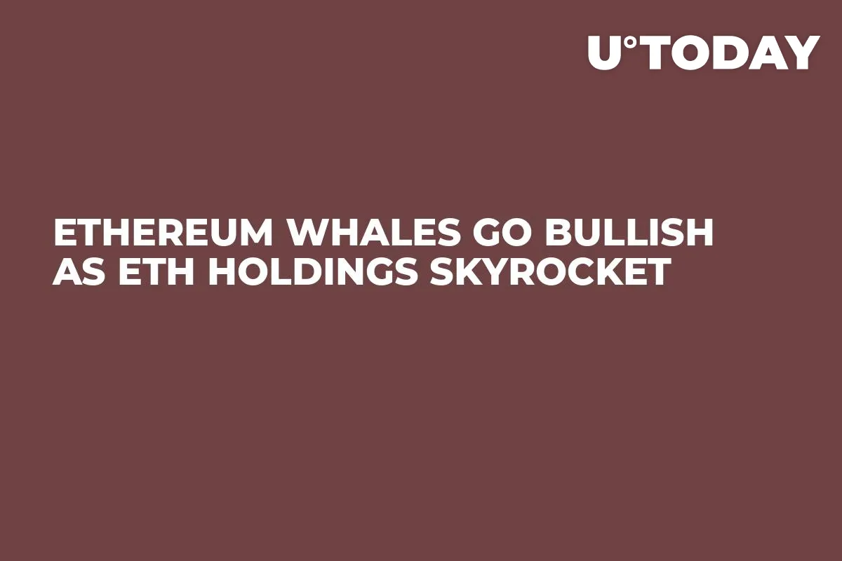 Ethereum Whales Go Bullish as ETH Holdings Skyrocket