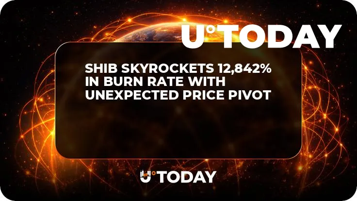 SHIB Skyrockets 12,842% in Burn Rate With Unexpected Price Pivot