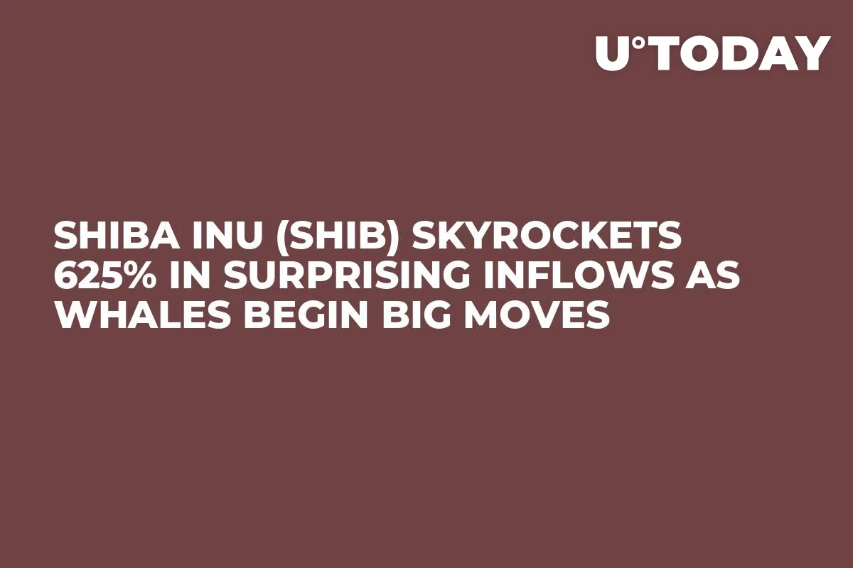 Shiba Inu (SHIB) Skyrockets 625% in Surprising Inflows as Whales Begin Big Moves