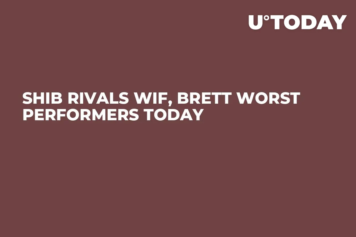 SHIB Rivals WIF, BRETT Worst Performers Today