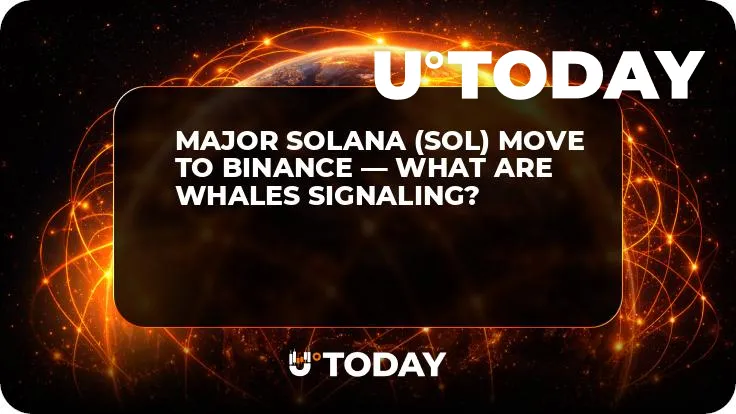 Major Solana (SOL) Move to Binance — What Are Whales Signaling?