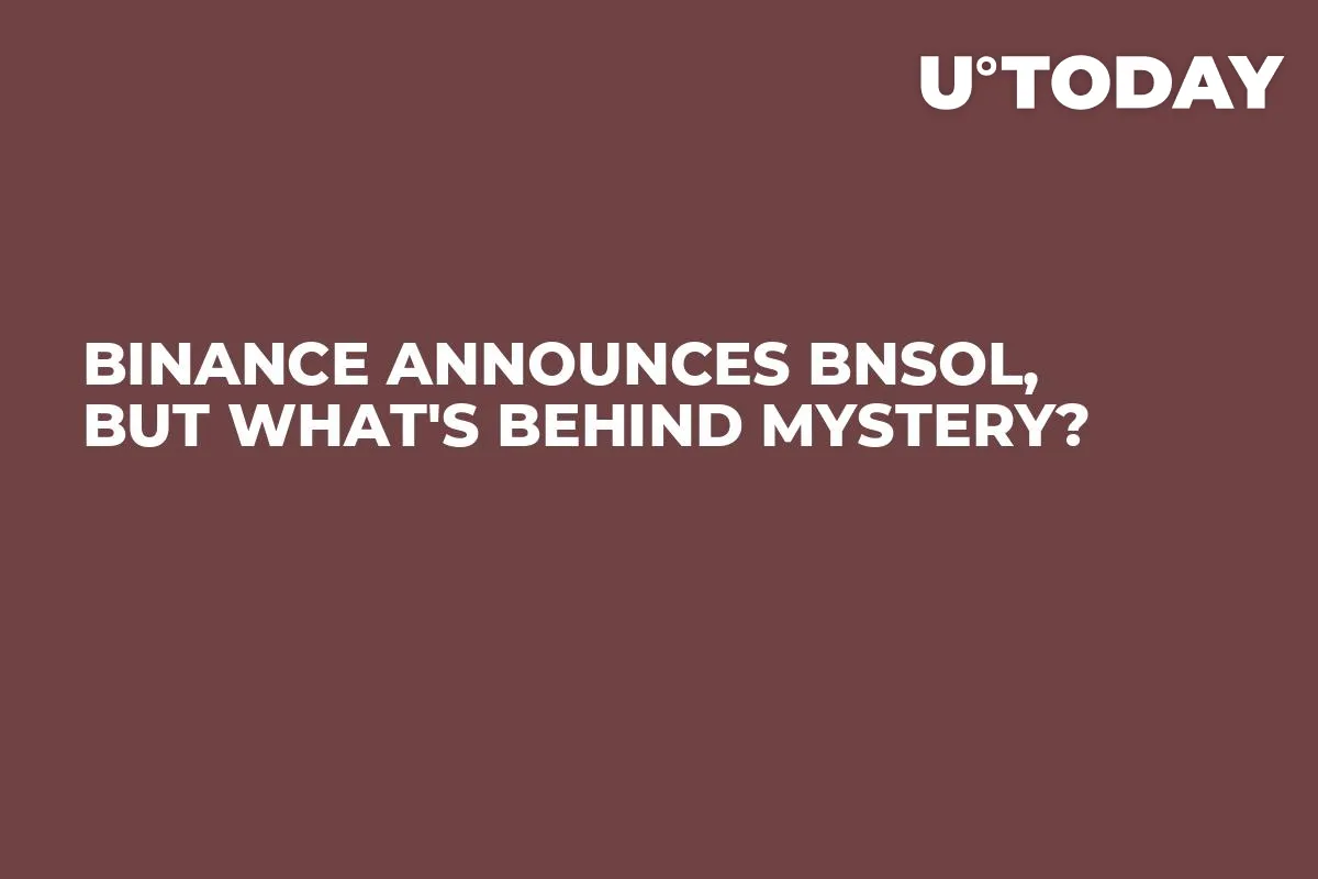 Binance Announces BNSOL, But What's Behind Mystery?