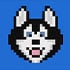 HOSKY Token