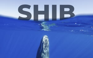 Title news