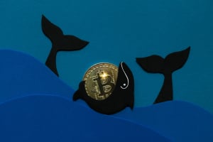 Title news
